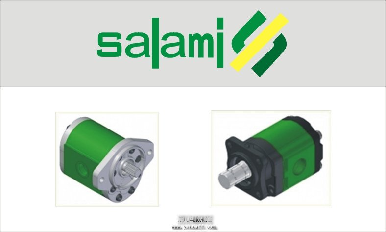 意大利SALAMI泵 SALAMI齿轮泵 SALAMI阀门